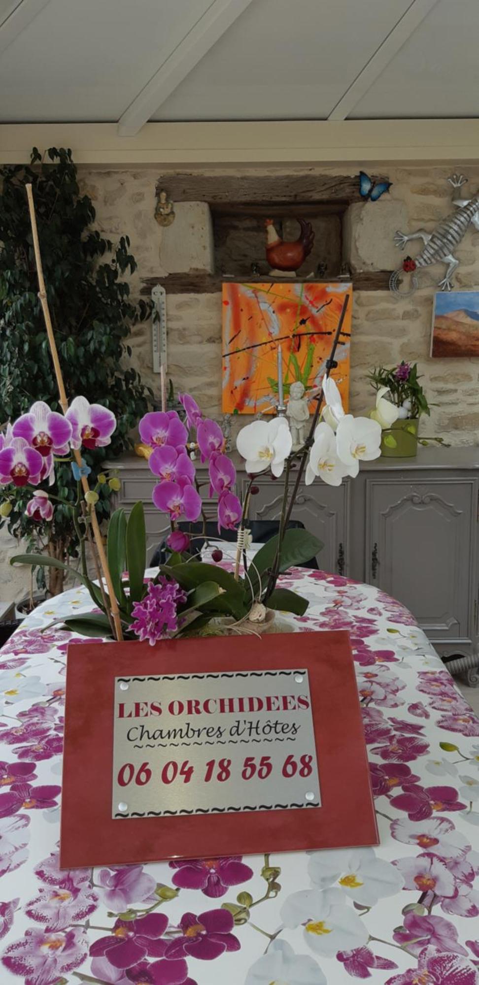 Les Orchidees Chambre Hotes Futuroscope Chasseneuil Poitiers Жоне-Клан Экстерьер фото
